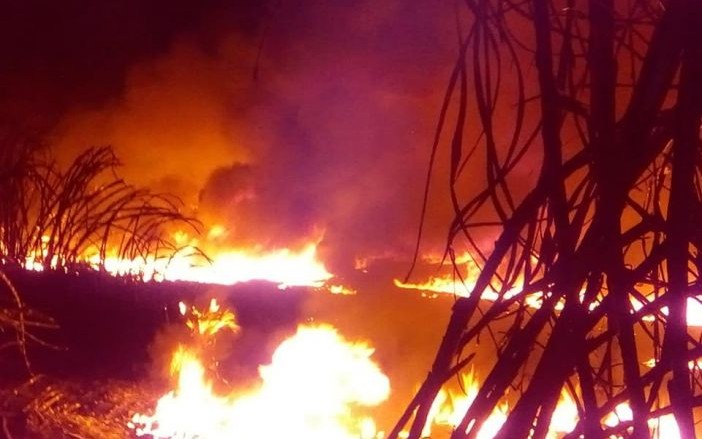 Explosión mata a uno y quema a cuatro, en Veracruz