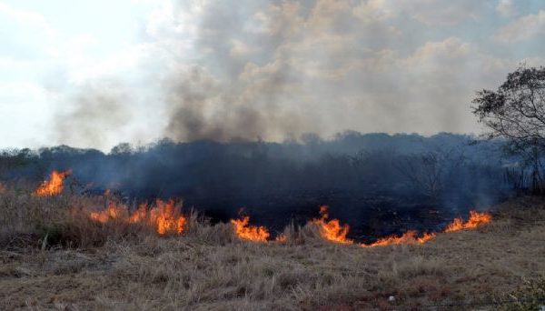 Incendios