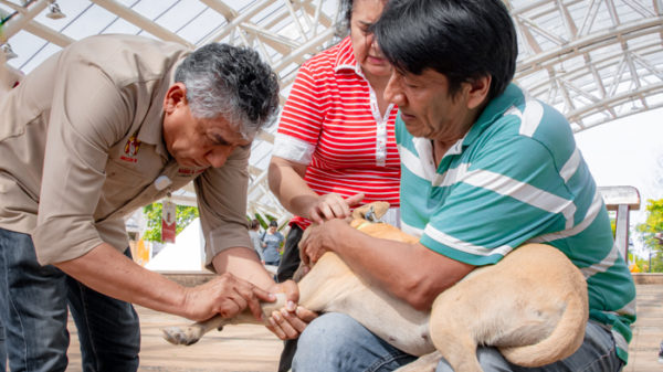 ESTERILIZACIONES