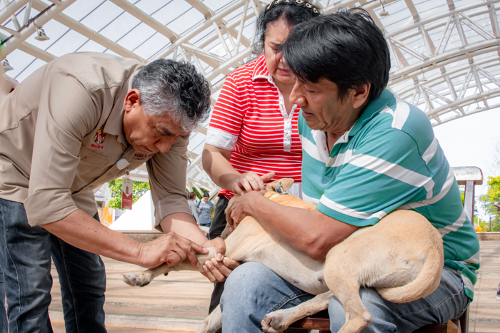 ESTERILIZACIONES