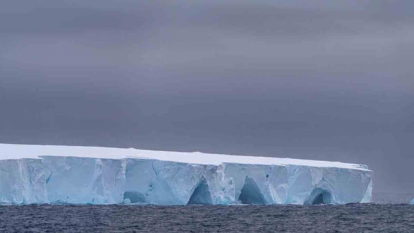 Iceberg