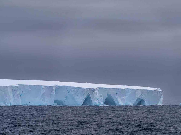 Iceberg