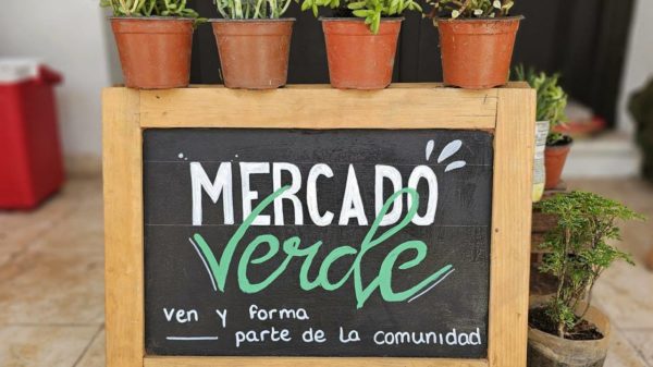 Mercado verde