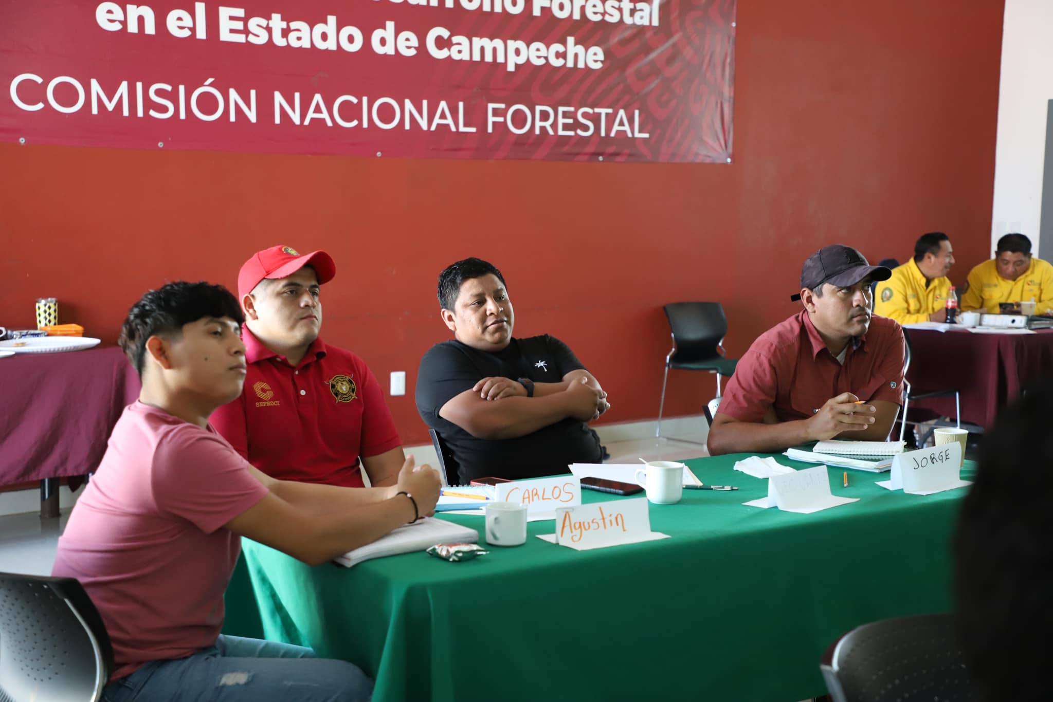 INCENDIOS
