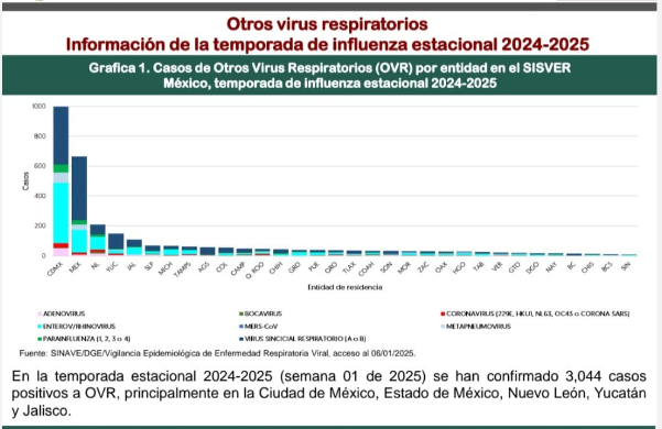 Metapneumovirus