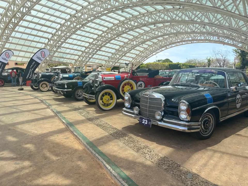 Rally Maya