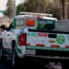ÁNGELES VERDES