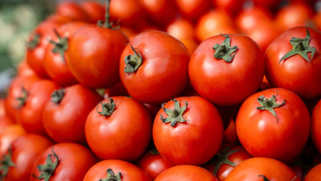 TOMATES