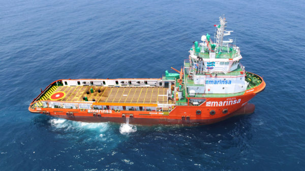 Marinsa