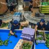 exportaciones