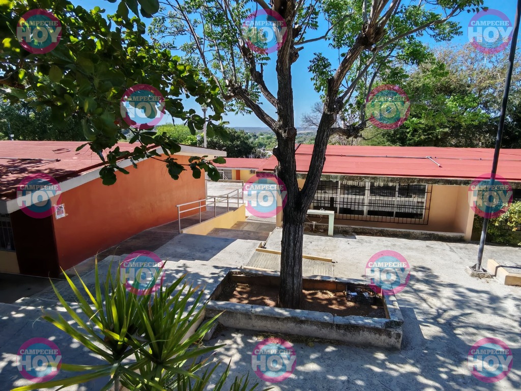 ESCUELA