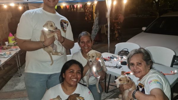 Canino