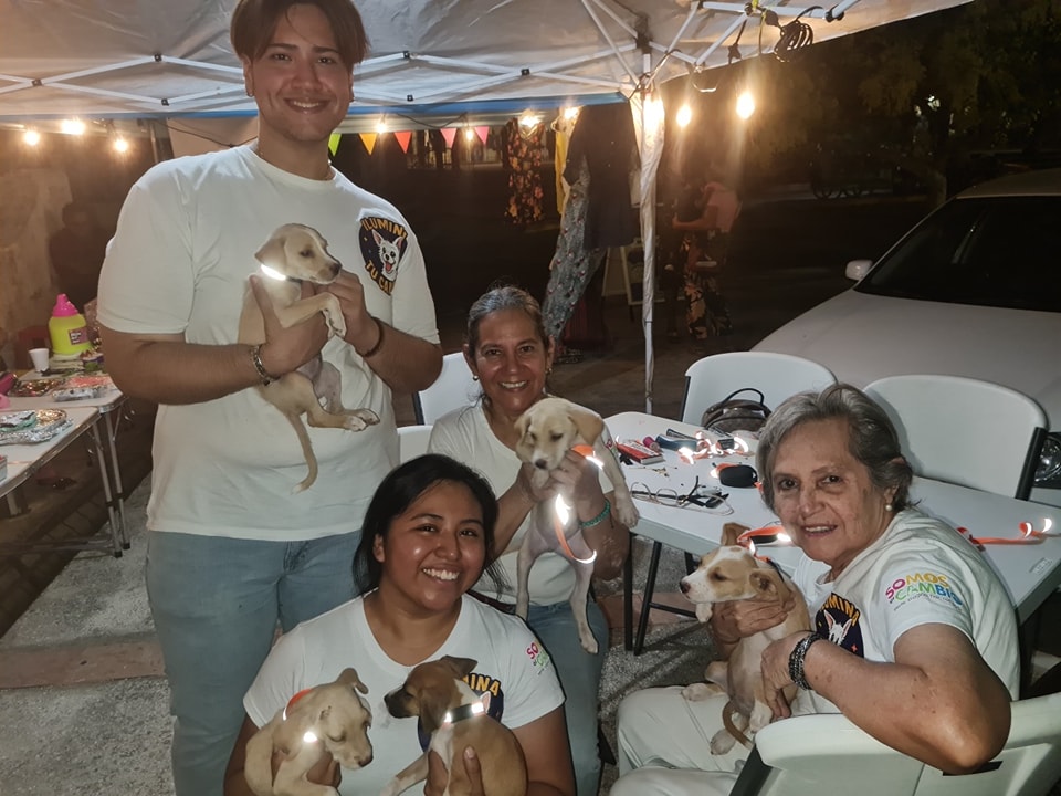 Canino