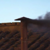 HUMO