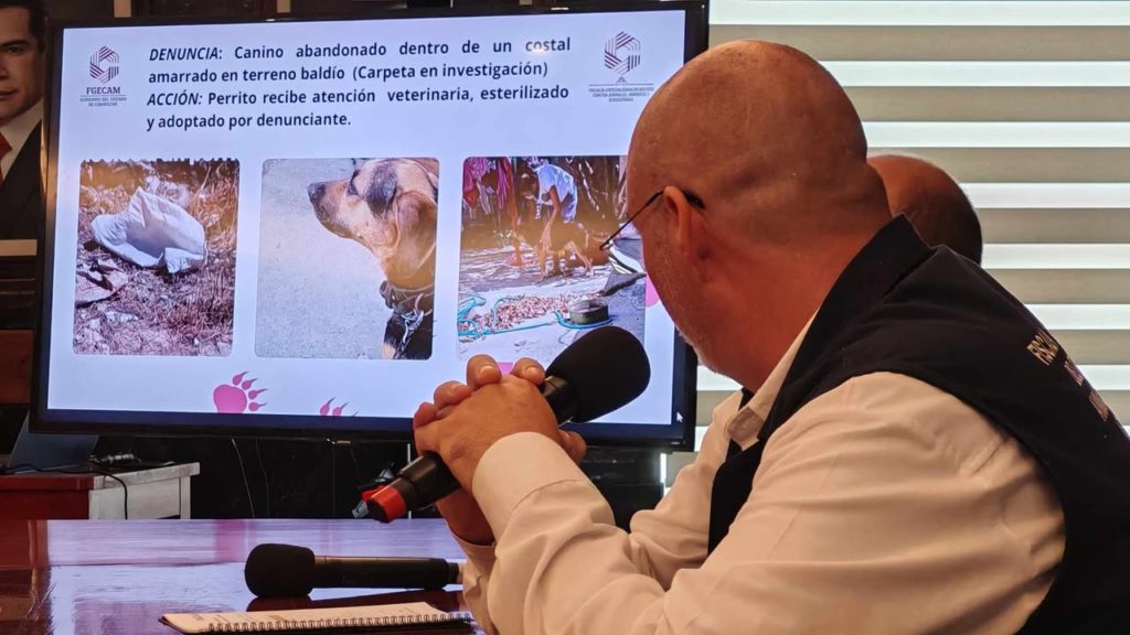 animales