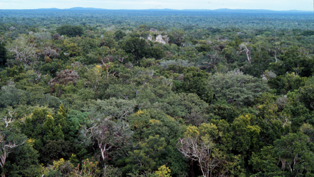 ECOTURISMO