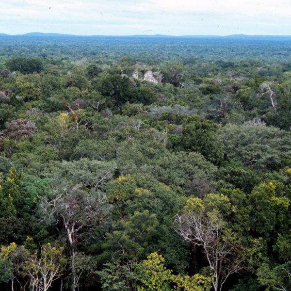 ECOTURISMO