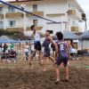 Voleibol