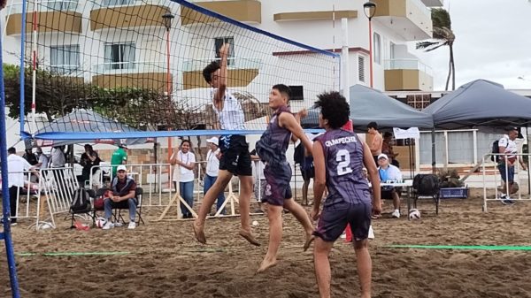 Voleibol