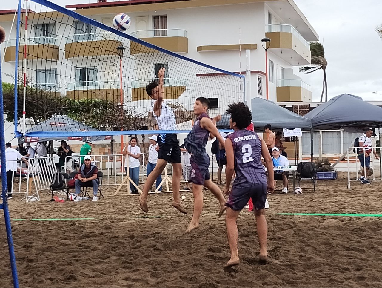 Voleibol