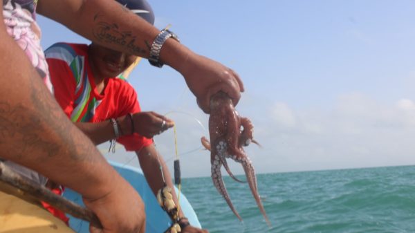 Pesca
