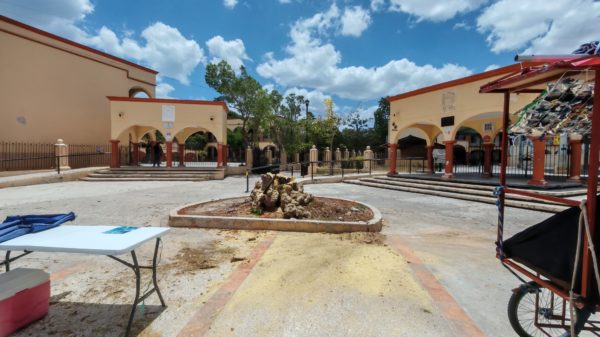 FLAMBOYÁN
