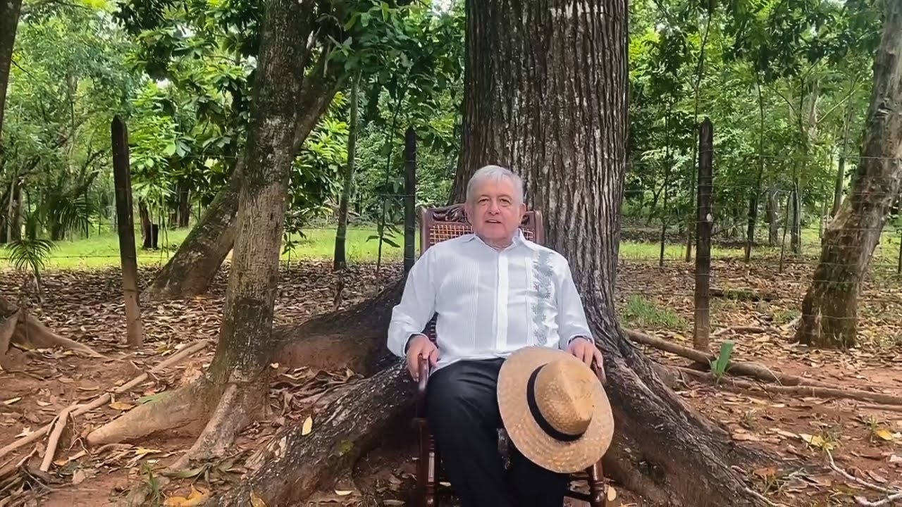 AMLO