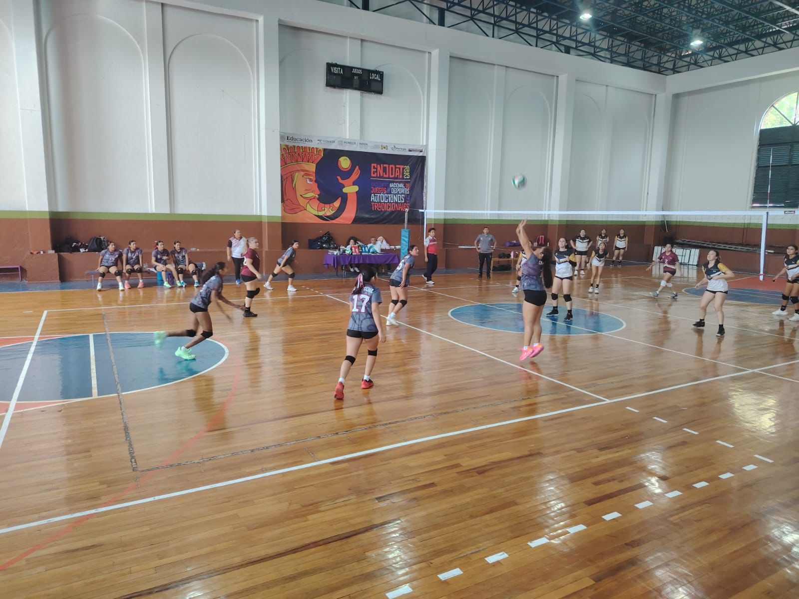 VOLEIBOL