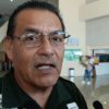 Ángeles Verdes