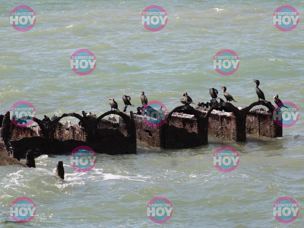 Campeche
