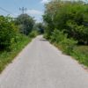 caminos