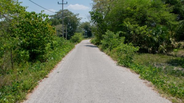 caminos