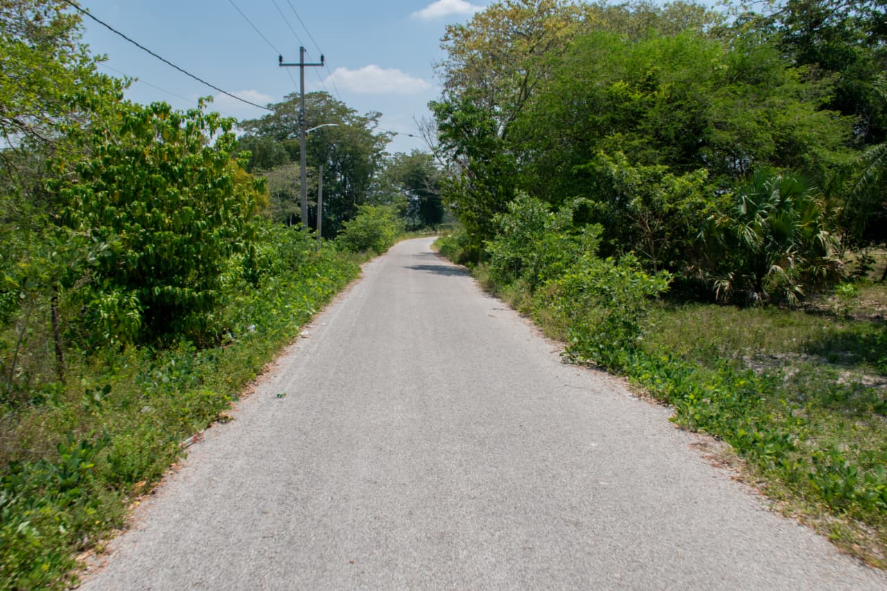 caminos