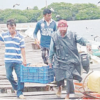PESCADORES