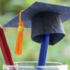 Becas