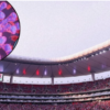 FUTBOLISTA