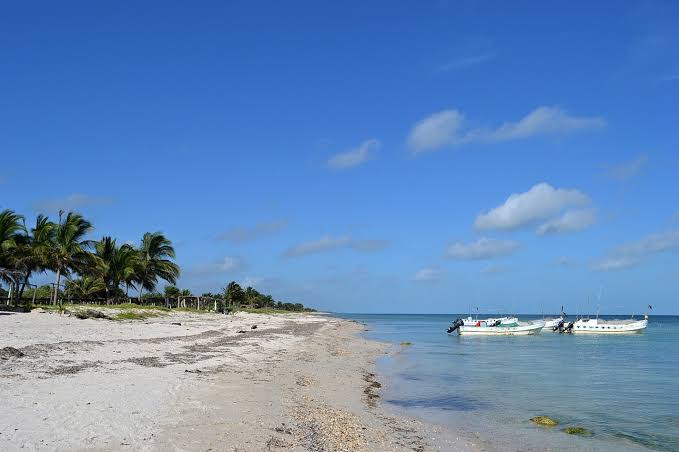 Punta Xen
