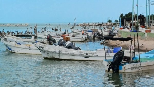 pescadores