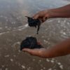 pescadores