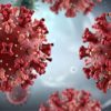 HANTAVIRUS