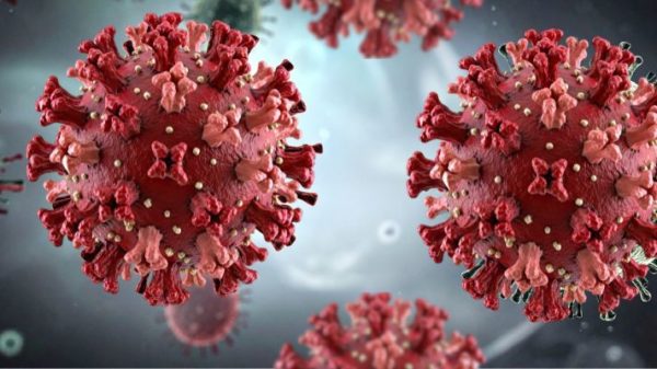 HANTAVIRUS