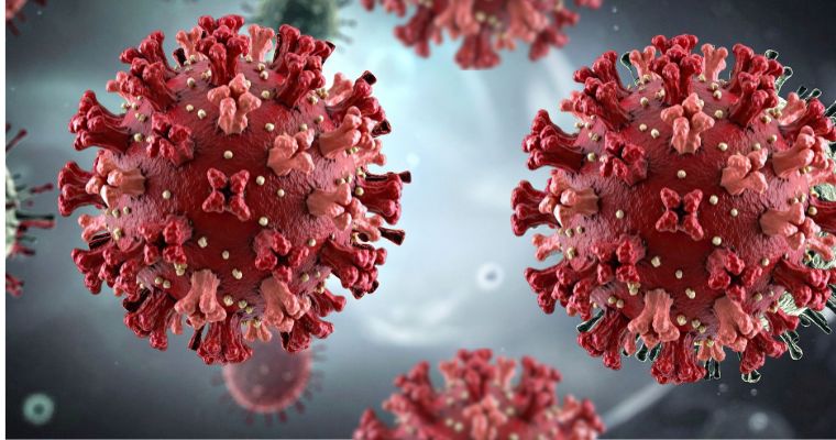 HANTAVIRUS