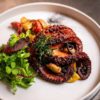 pulpo maya