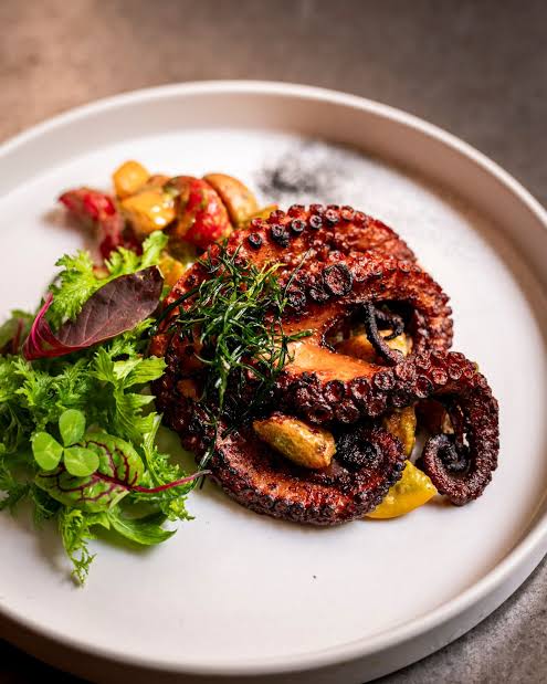 pulpo maya