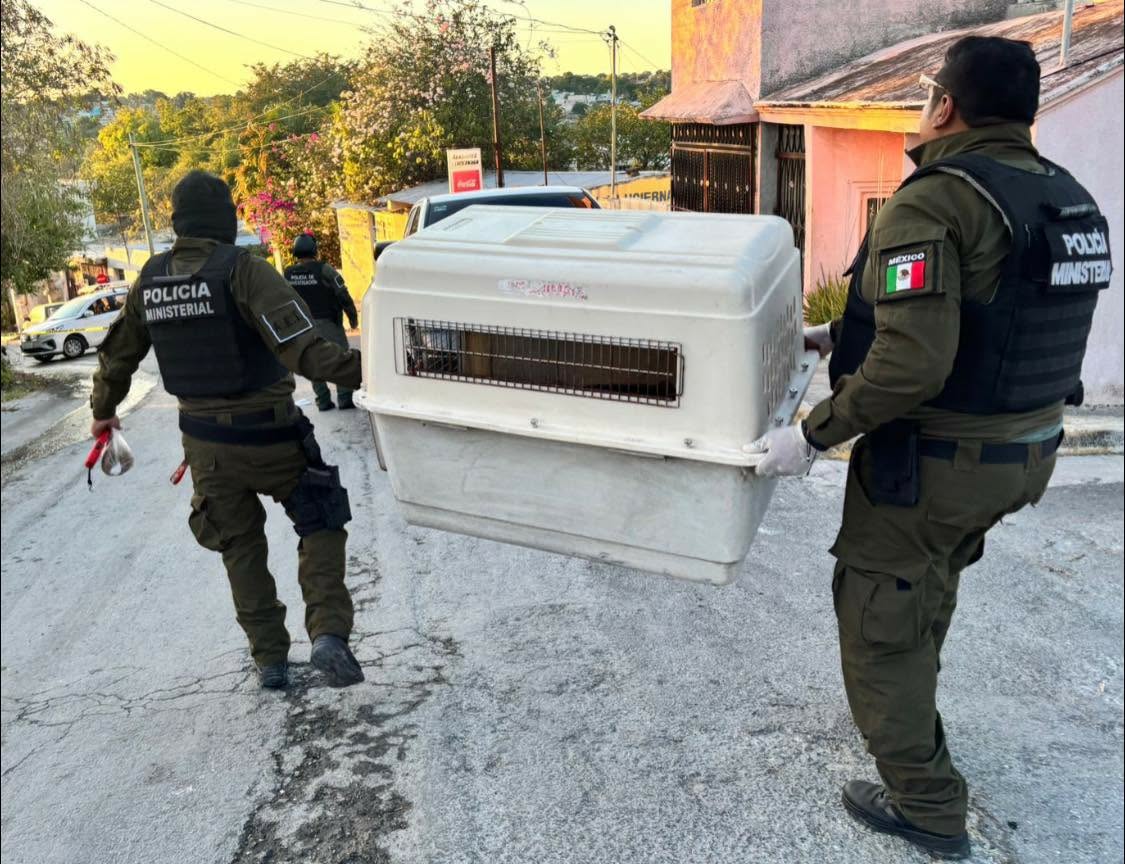 Vicefiscalía