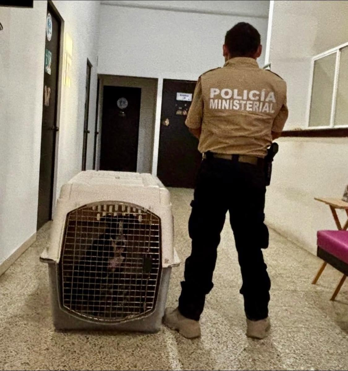 Fiscalía