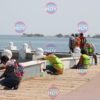 malecón