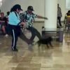 perrita