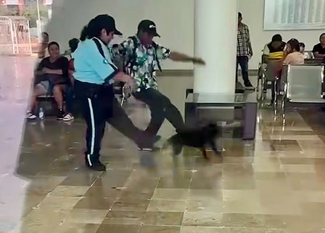 perrita