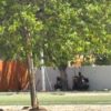 Parques